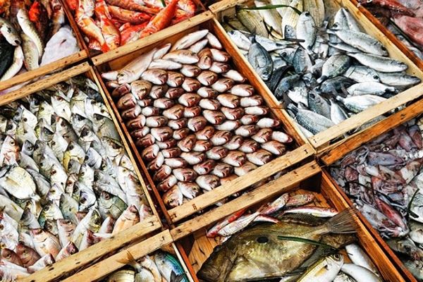 1700 партий рыбы отправили из Приморья за рубеж в октябре