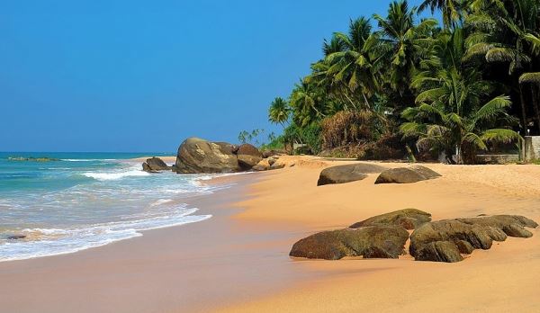 Где на Шри-Ланке лучше отдыхать зимой